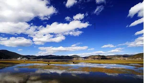 网络中国节·春节丨2024年琼海市迎新春文艺惠民活动举办 挥毫送春联 墨香添年