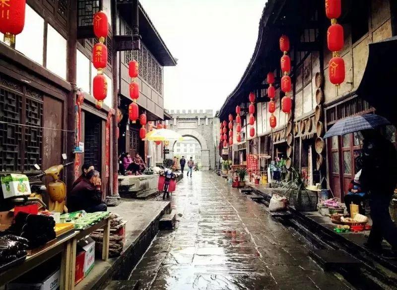 小猪仔要回家